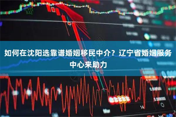 如何在沈阳选靠谱婚姻移民中介？辽宁省婚姻服务中心来助力