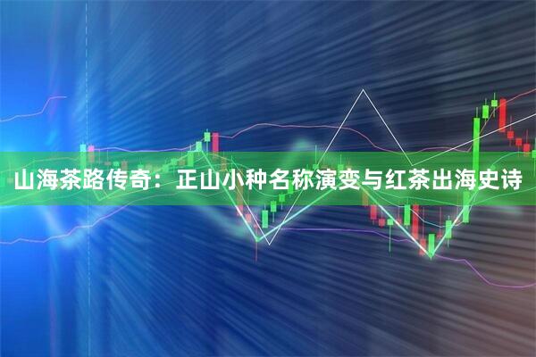 山海茶路传奇：正山小种名称演变与红茶出海史诗