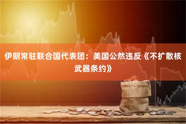 伊朗常驻联合国代表团：美国公然违反《不扩散核武器条约》