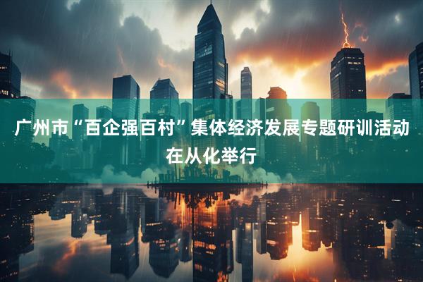 广州市“百企强百村”集体经济发展专题研训活动在从化举行